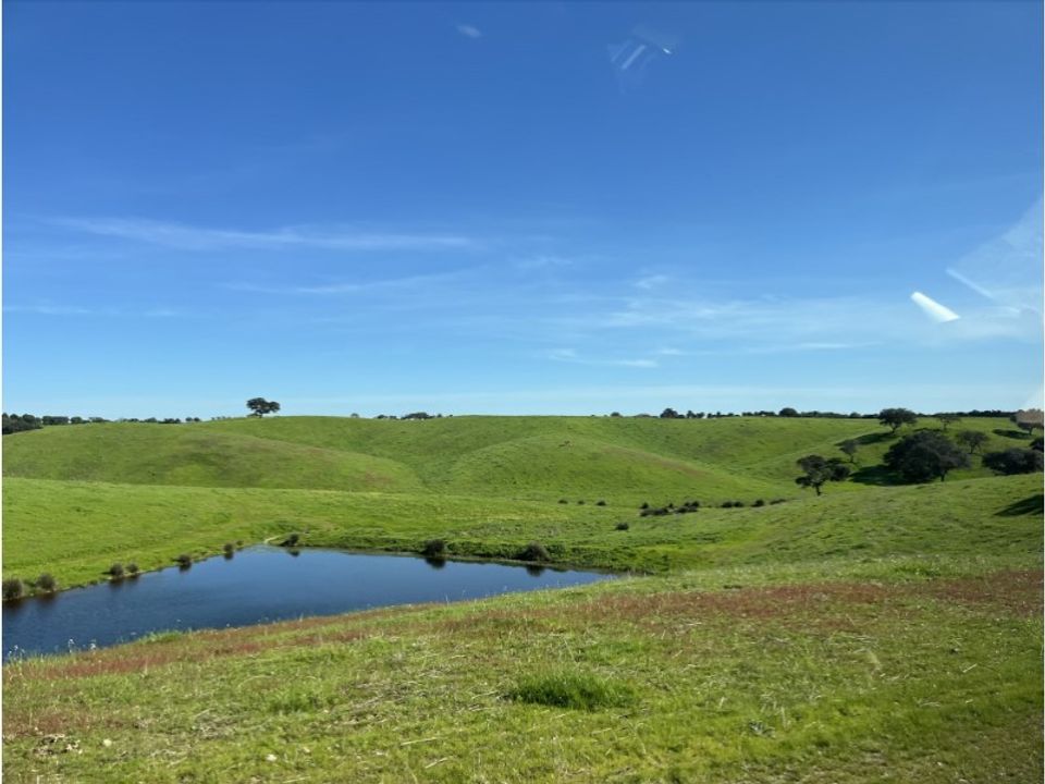Landejendom i Cabeca Gorda, Beja - foto 5