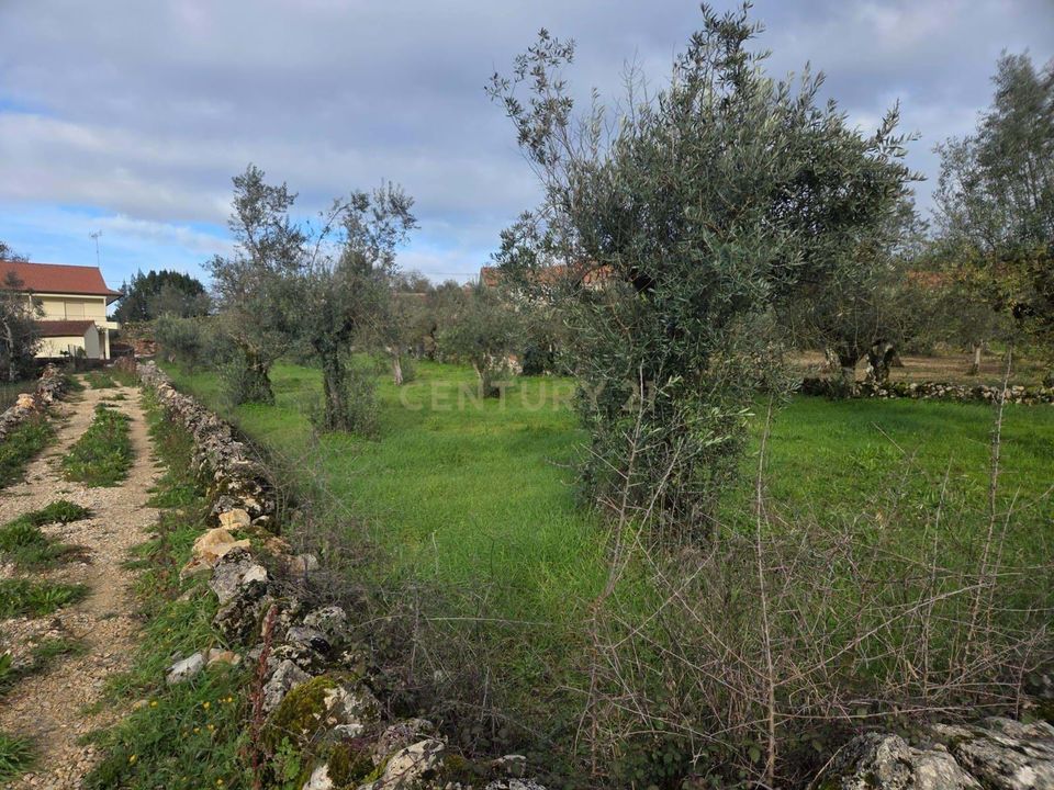 Helårsgrund i Ansiao, Leiria - foto 3