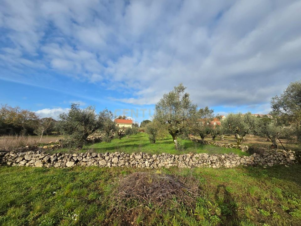 Helårsgrund i Ansiao, Leiria - foto 4