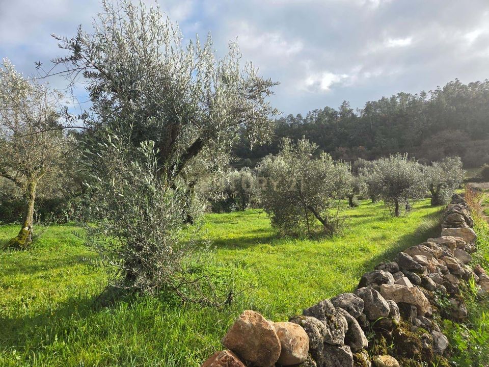 Helårsgrund i Ansiao, Leiria - foto 5