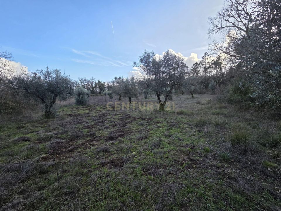 Helårsgrund i Ansiao, Leiria - foto 1