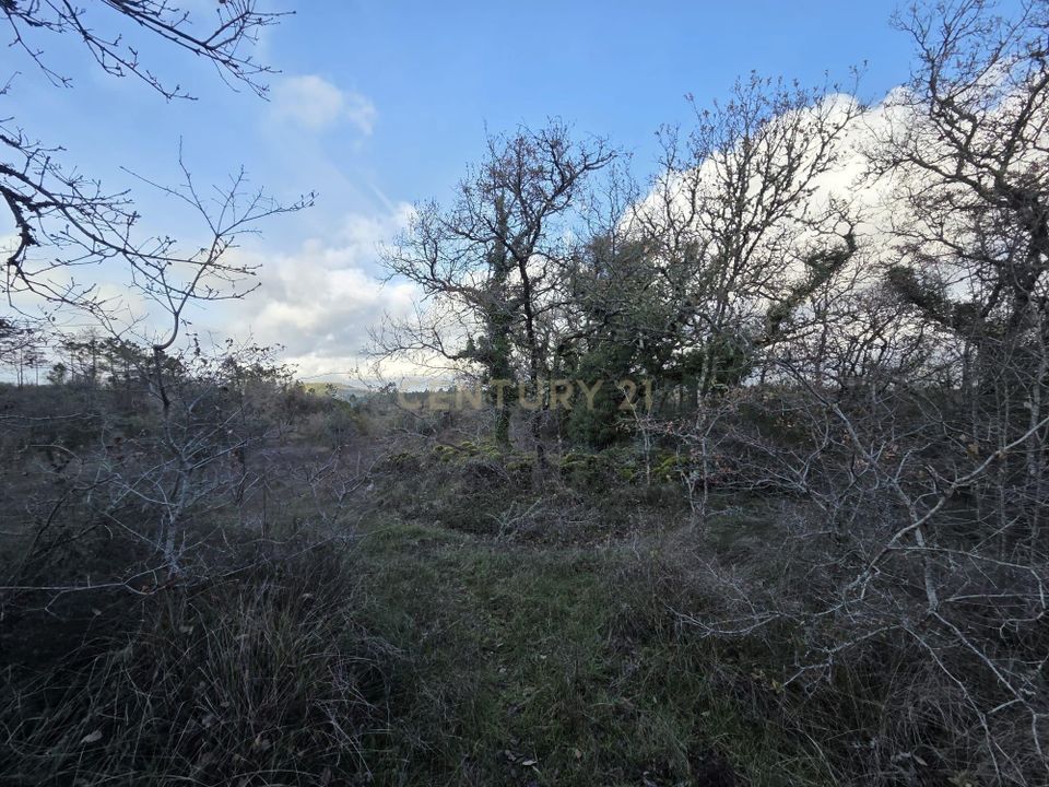 Helårsgrund i Ansiao, Leiria - foto 2