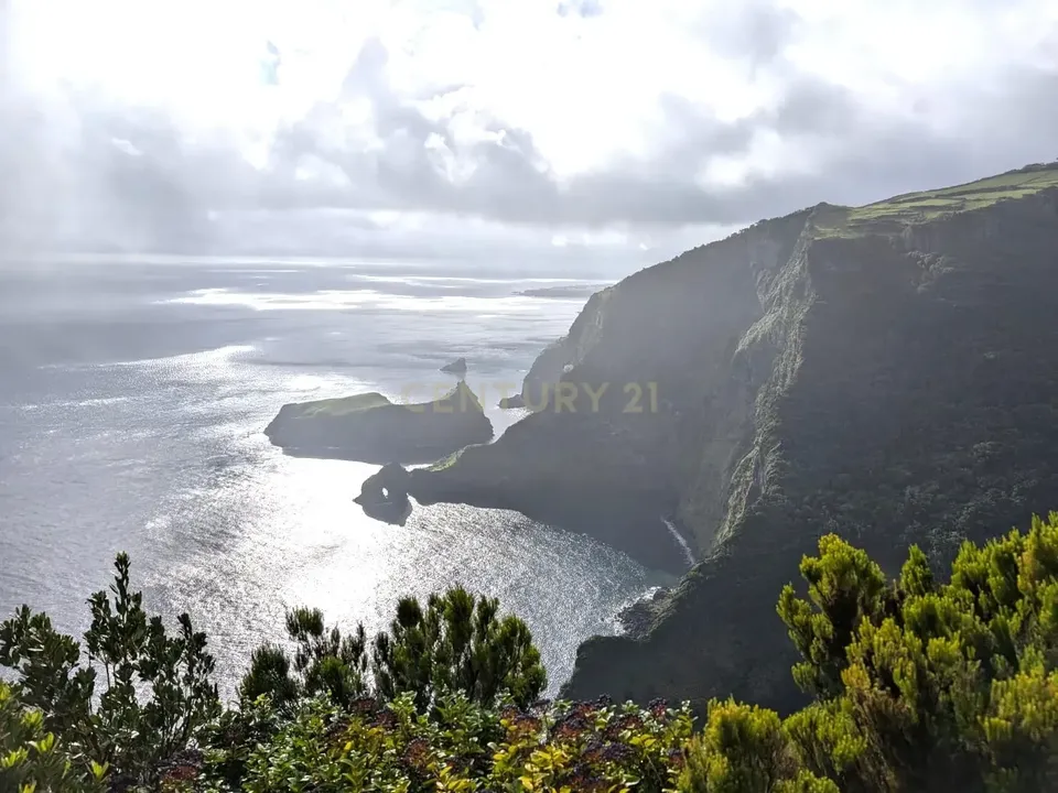 Erhvervsejendom i Santa Cruz das Flores, Flores - foto 5
