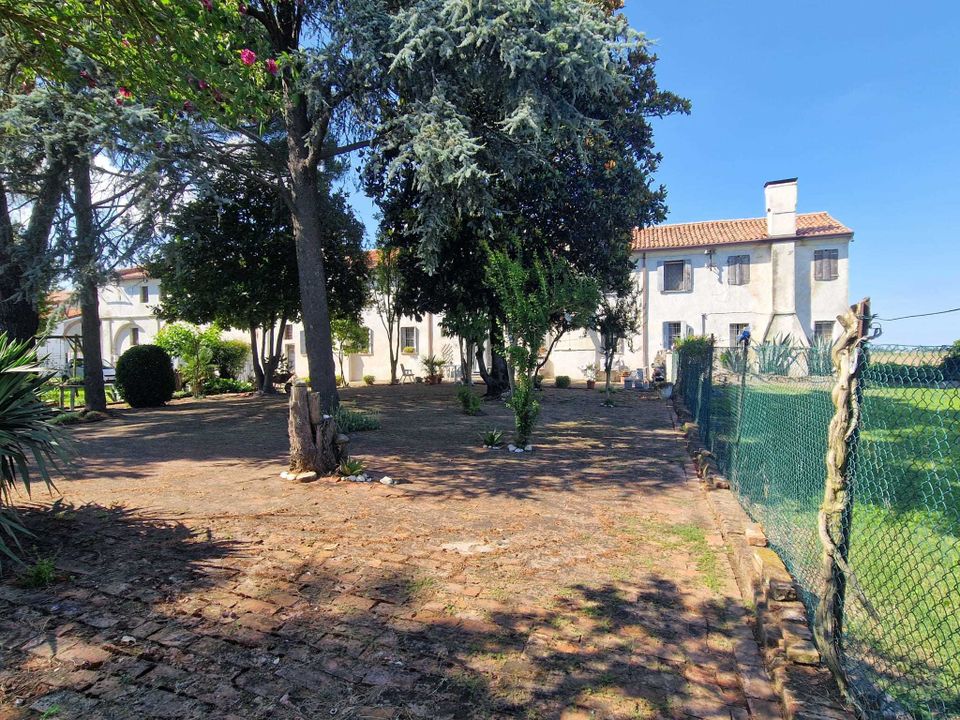 Vente-unique-Conjunto De 6 Sillas Rovigo - Piel Sintética Marrón