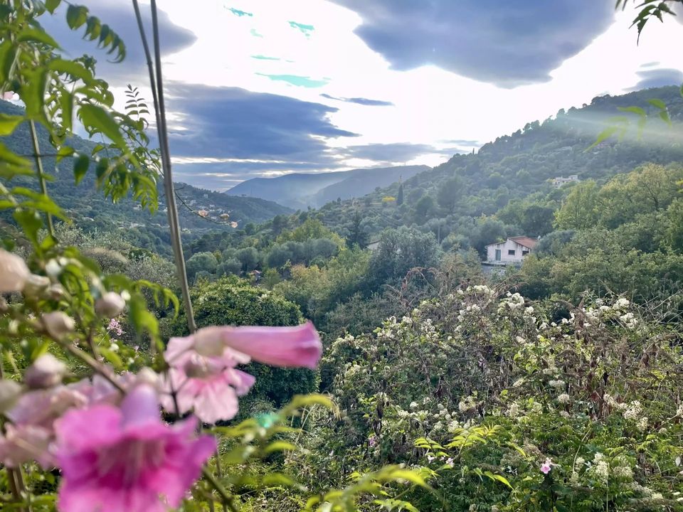 Terra a Saint-Blaise, Alpes-Maritimes - foto 1