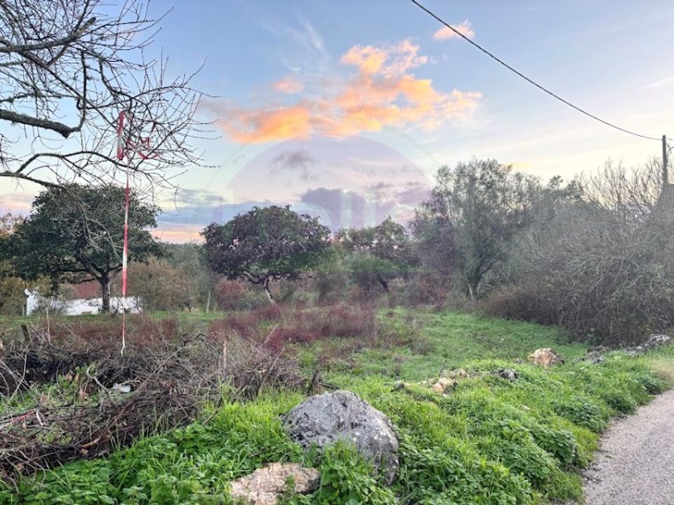 Masia a Tomar, Santarem - foto 4