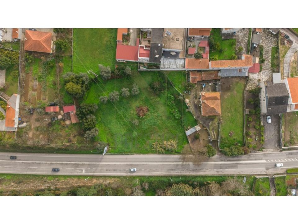 Tomt i Condeixa-a-Nova, Coimbra - bilde 2