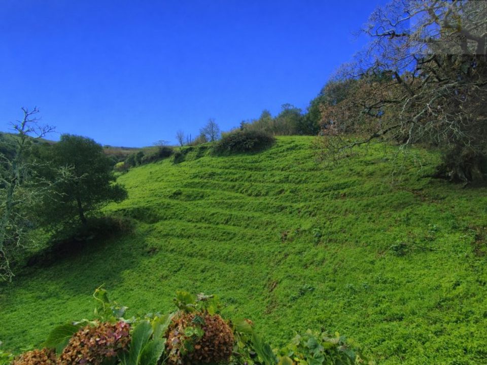 Helårsgrund i Ponta Delgada, Sao Miguel - foto 2