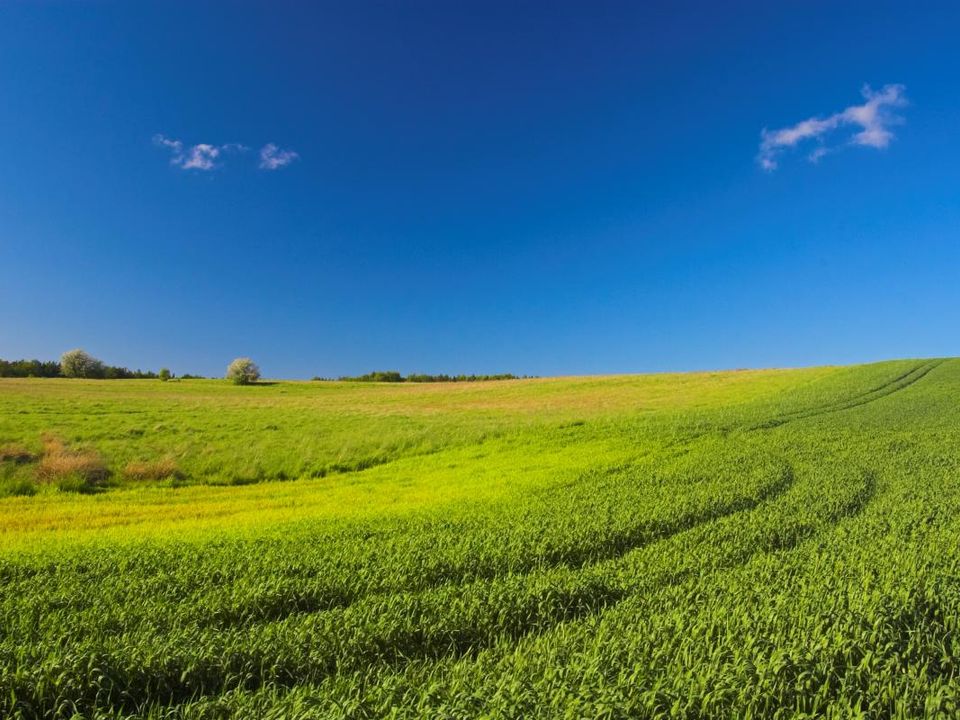 Helårsgrund i Roquettes, Haute-Garonne - foto 1
