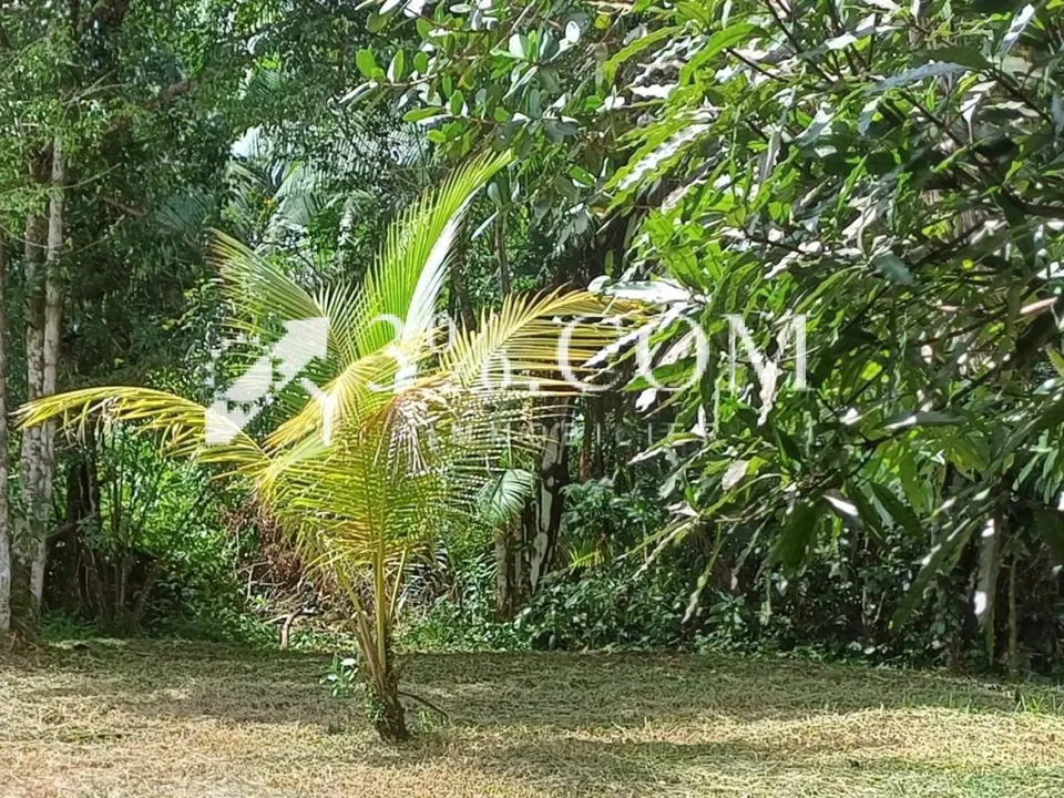 Terra a Matoury, French Guiana - foto 3