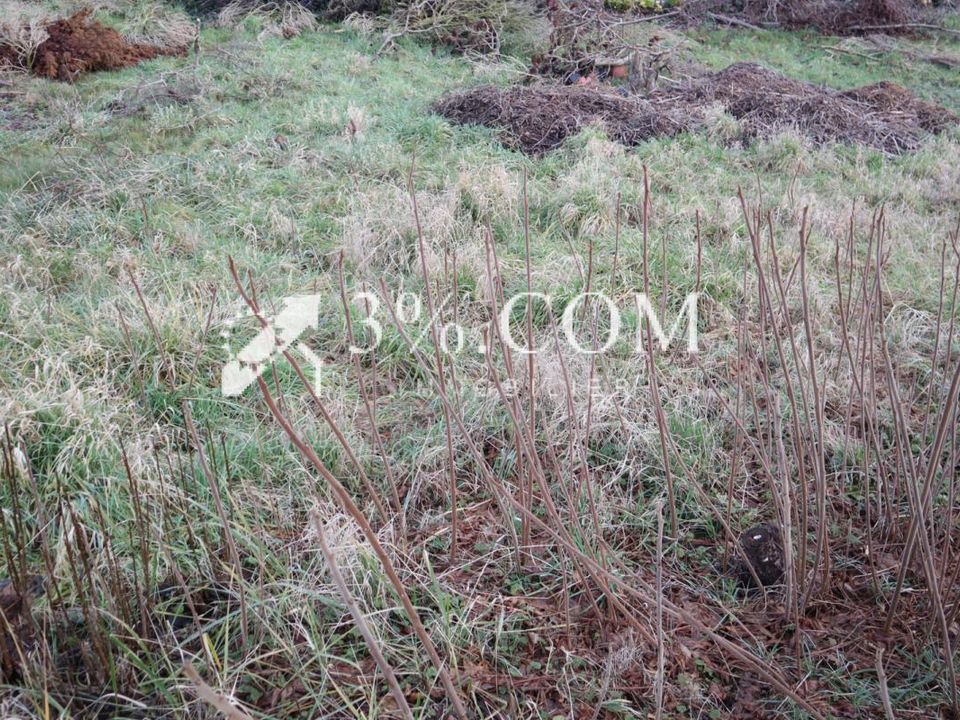 Helårsgrund i Leforest, Pas-de-Calais - foto 2