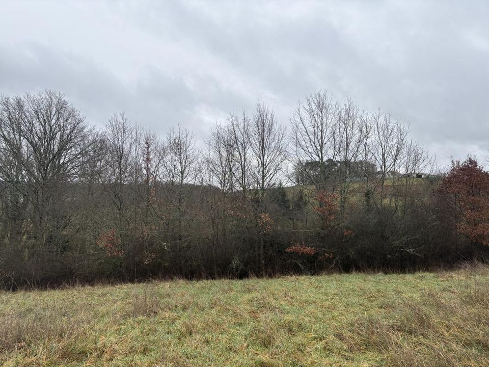 Terra a Sainte-Marie-de-Chignac, Dordogne - foto 1