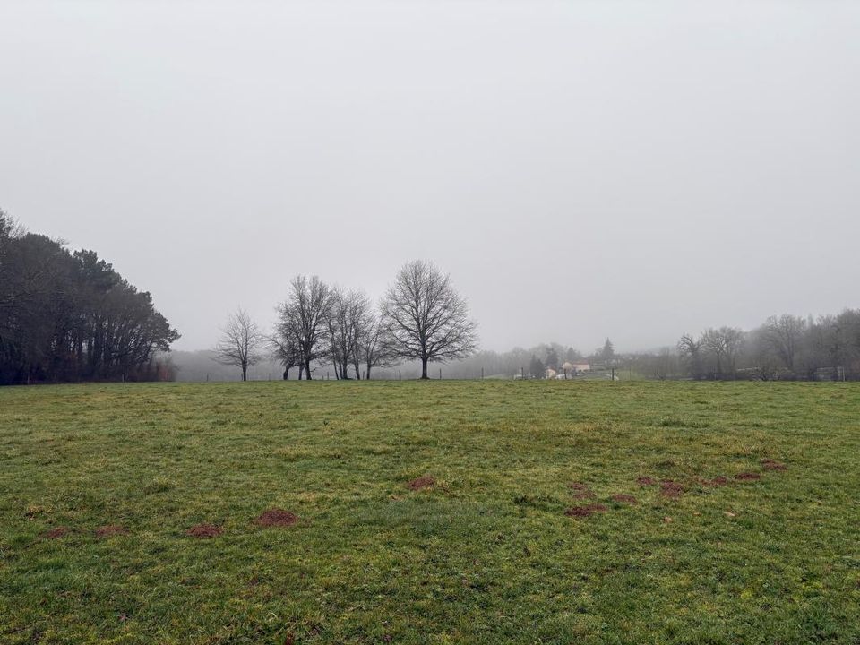 Tomt i Saint-Front-d'Alemps, Dordogne - bilde 1