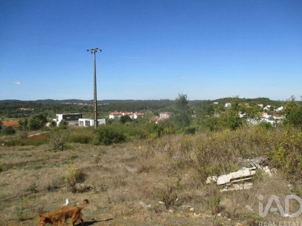 Tomt i Soure, Coimbra - bilde 3