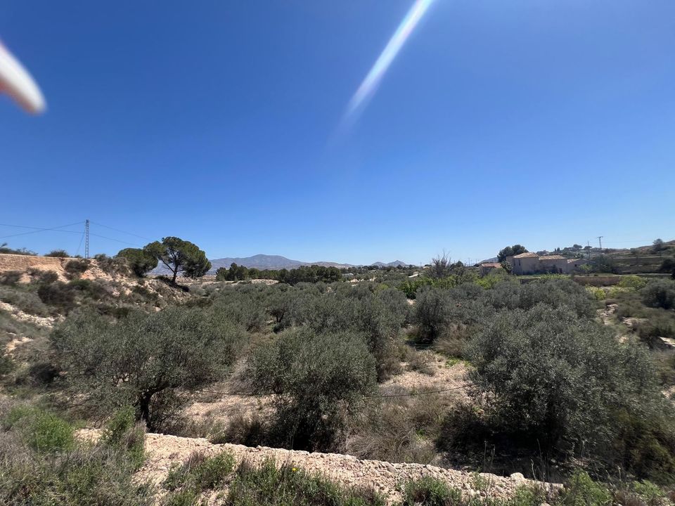 Helårsgrund i Monovar, Alicante - foto 1
