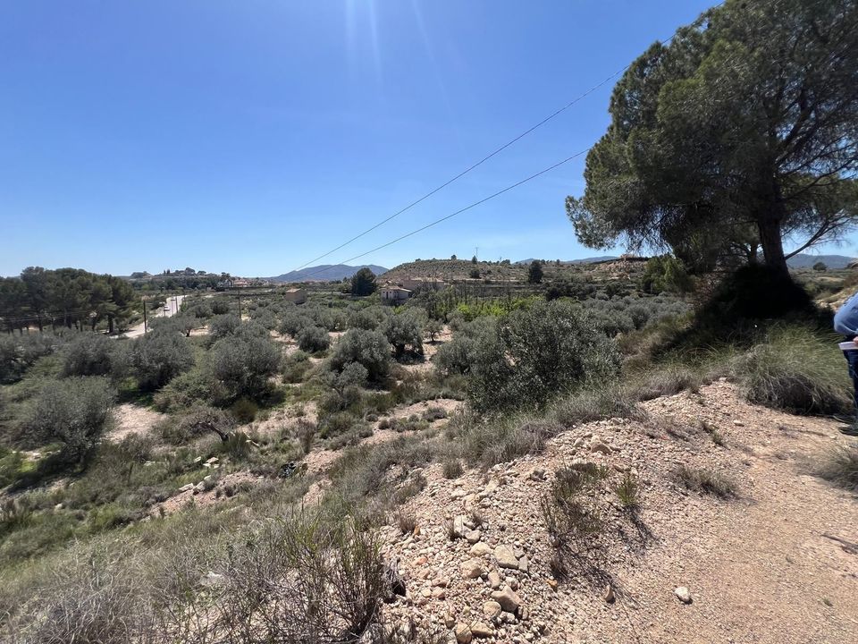 Helårsgrund i Monovar, Alicante - foto 2
