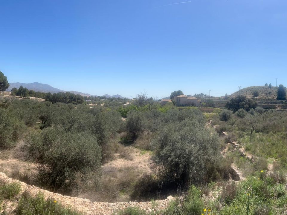 Helårsgrund i Monovar, Alicante - foto 4