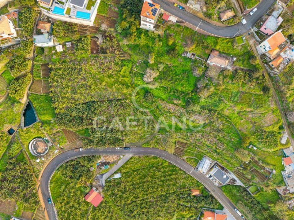 Helårsgrund i Ribeira Brava, Madeira - foto 4