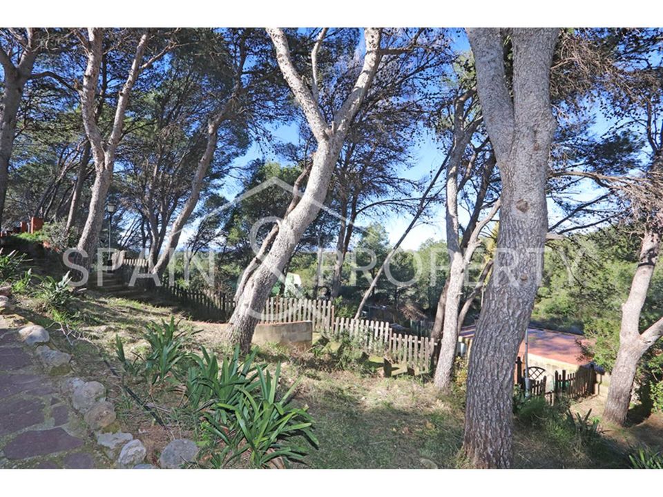 Villa i Turis, Valencia - foto 3