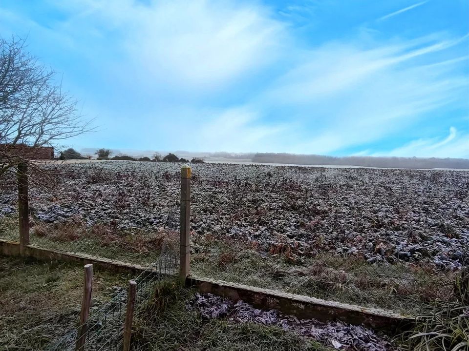Landejendom i Saint-Genest-d'Ambière, Vienne - foto 3