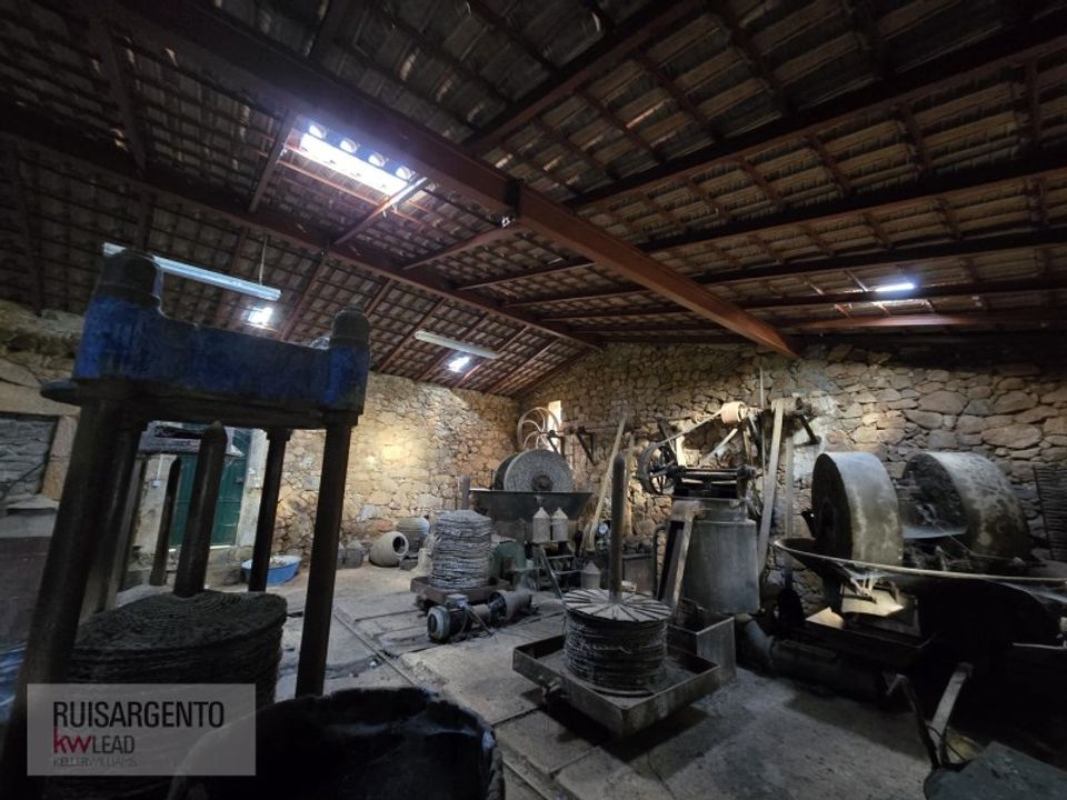 Farm i Aranhas, Castelo Branco - foto 1