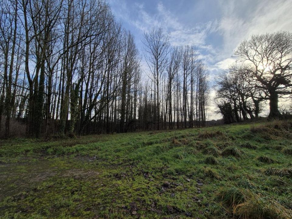 Farm hus i Le Haut-Corlay, Cotes-d'Armor - foto 5