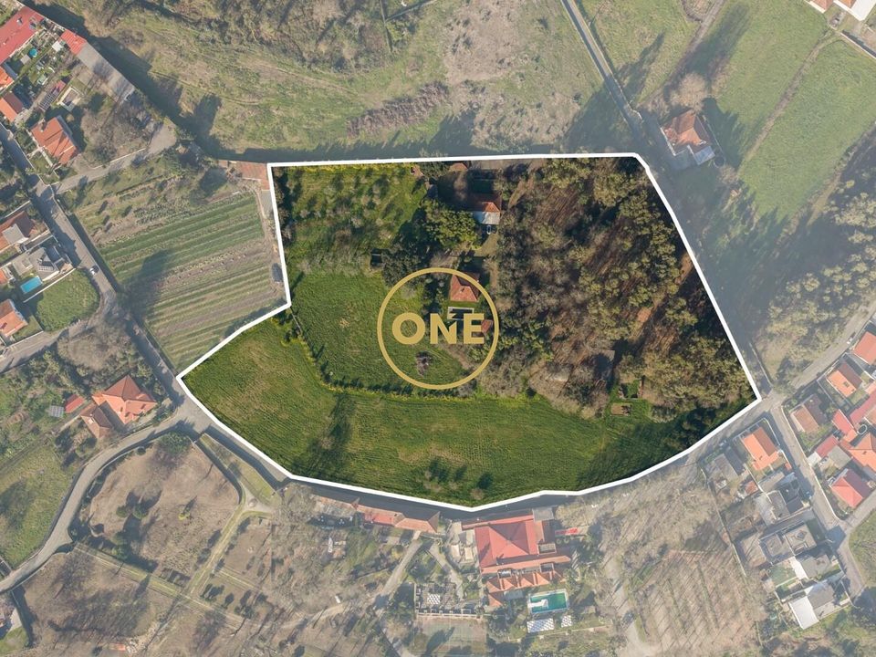 Farm i Vila Nova de Famalicao, Braga - foto 3