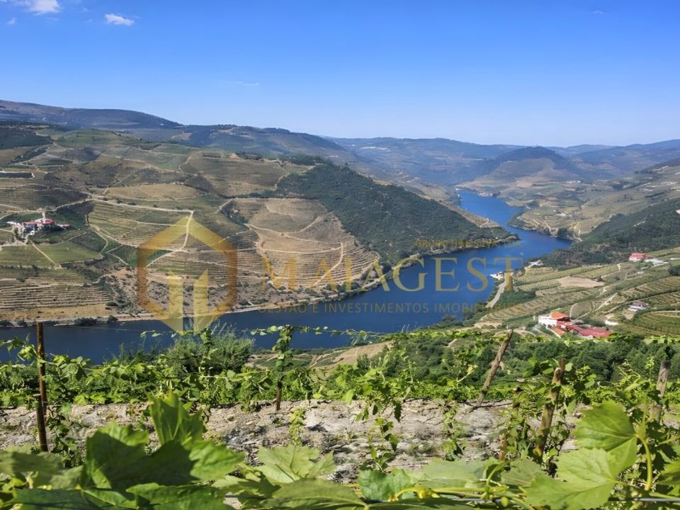 Farm i Tabuaco, Viseu - foto 1