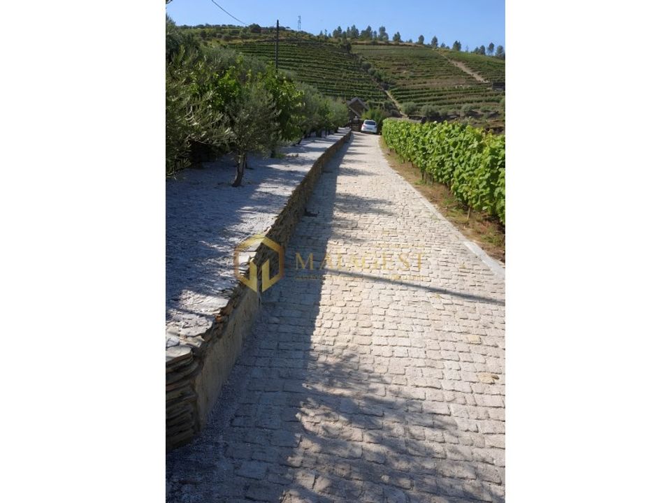 Farm i Tabuaco, Viseu - foto 2