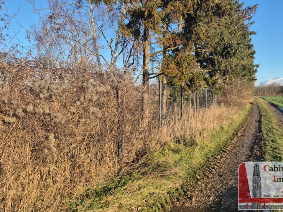 Helårsgrund i Allonville, Somme - foto 2