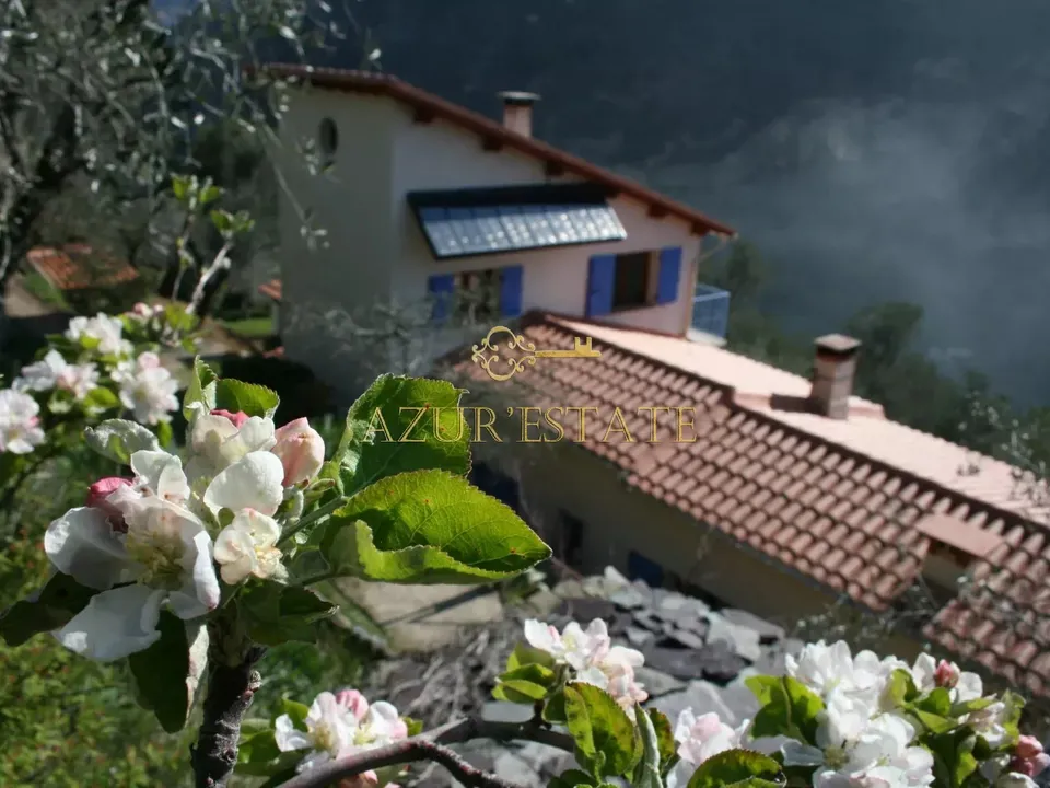 Villa i Breil-sur-Roya, Alpes-Maritimes - foto 1