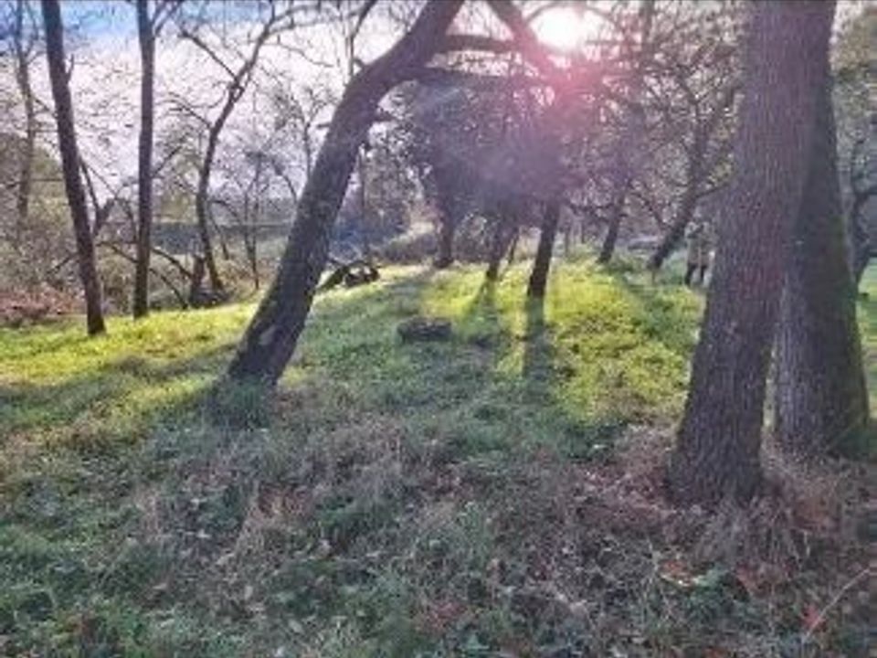 Tomt i Pibrac, Haute-Garonne - bilde 3
