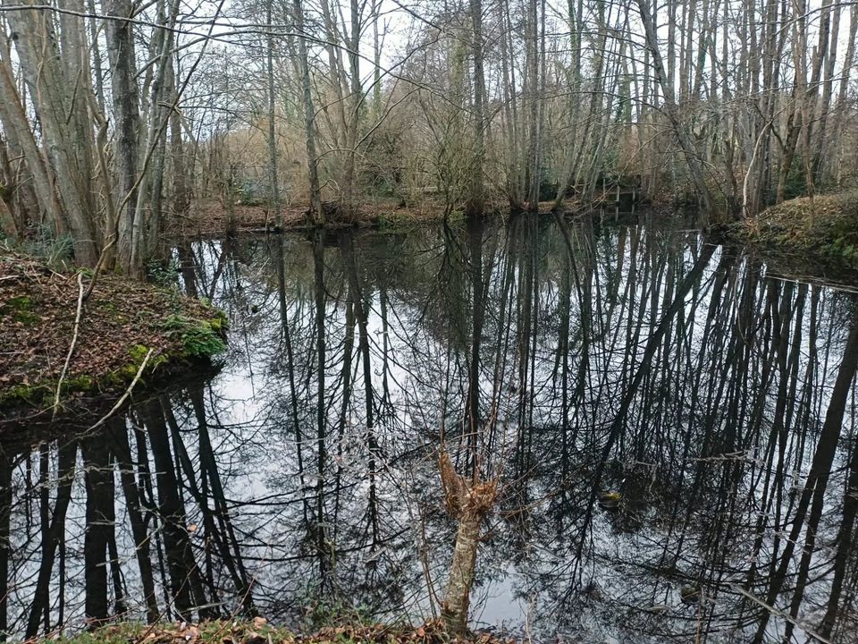 Villa i Boissy-Maugis, Orne - foto 5