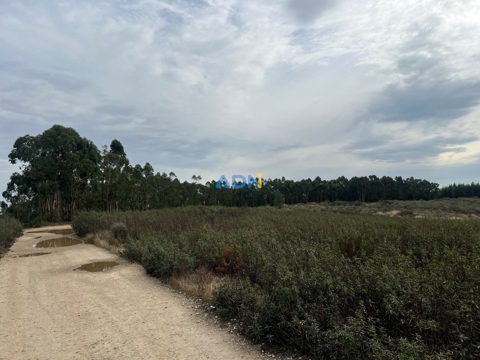Helårsgrund i Castelo Branco, Castelo Branco - foto 4