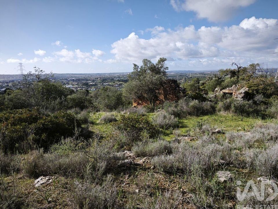 Helårsgrund i Silves, Faro - foto 4