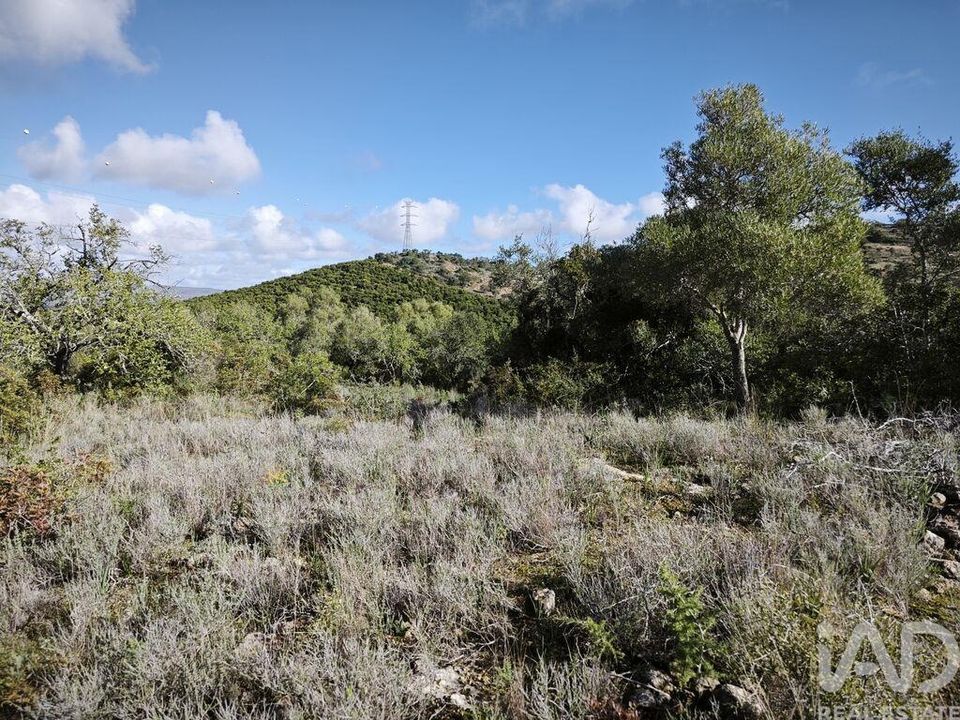Helårsgrund i Silves, Faro - foto 5