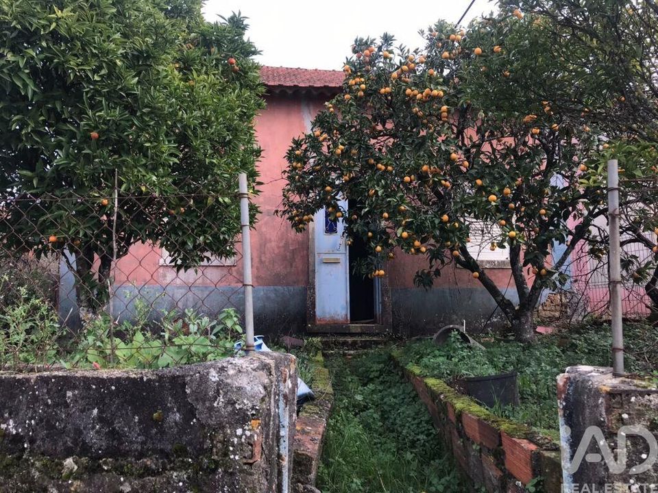 Byhus i Ferreira do Zezere, Santarem - foto 4