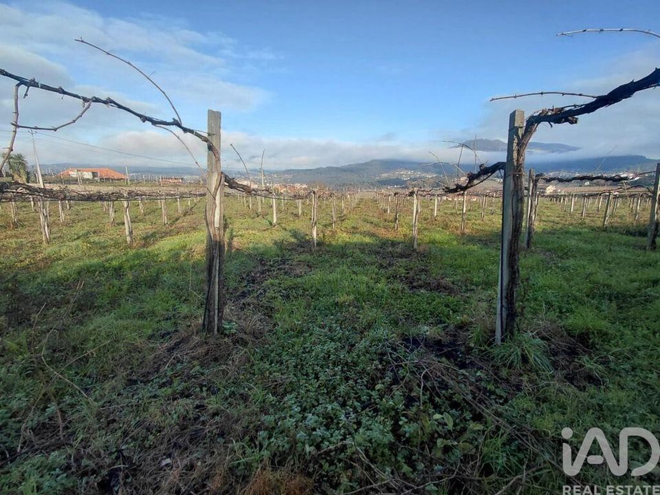 Helårsgrund i Moncao, Viana do Castelo - foto 5