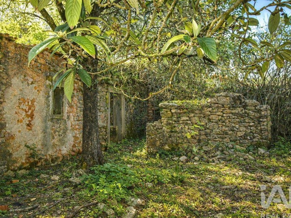 Byhus i Ferreira do Zezere, Santarem - foto 3