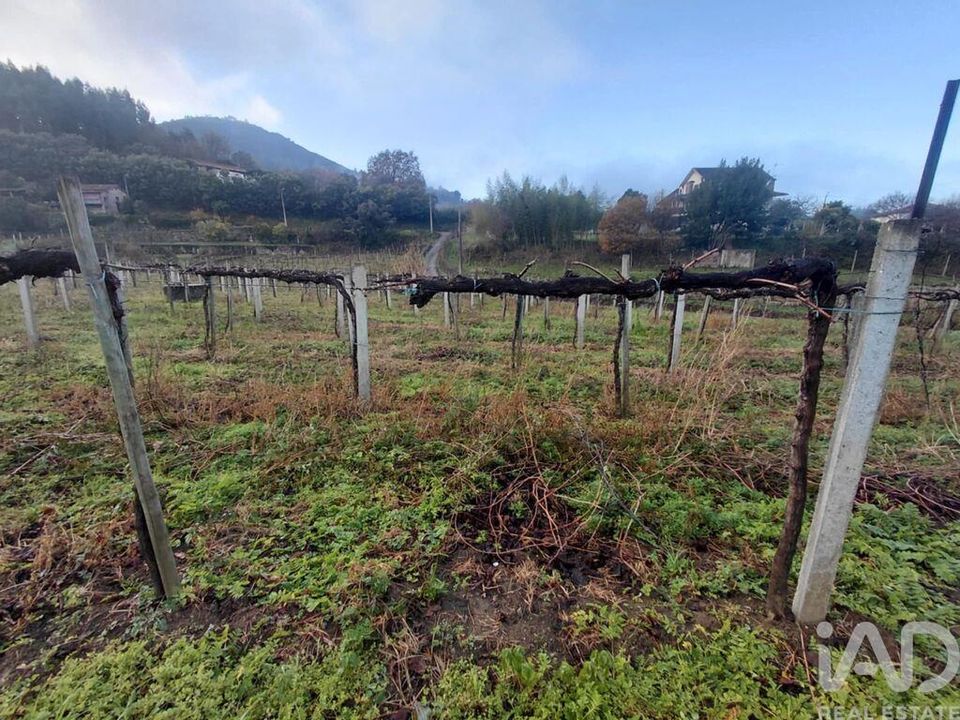 Helårsgrund i Moncao, Viana do Castelo - foto 1