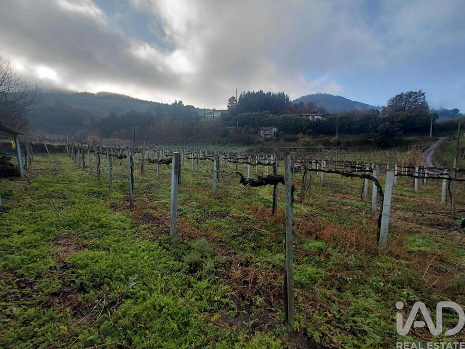 Helårsgrund i Moncao, Viana do Castelo - foto 3