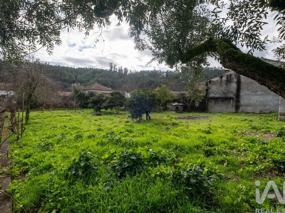 Byhus i Penacova, Coimbra - foto 4