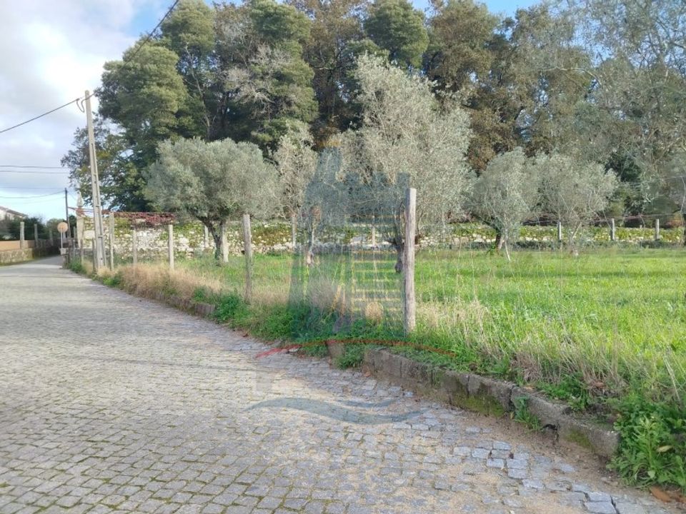 Helårsgrund i Ponte de Lima, Viana do Castelo - foto 5