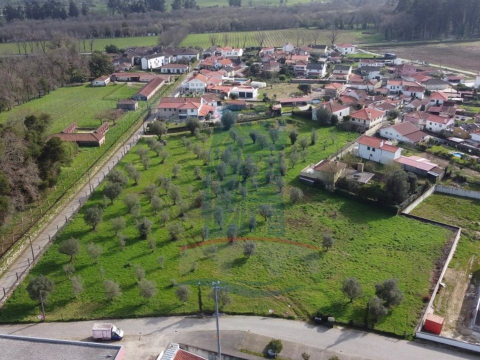 Helårsgrund i Ponte de Lima, Viana do Castelo - foto 1