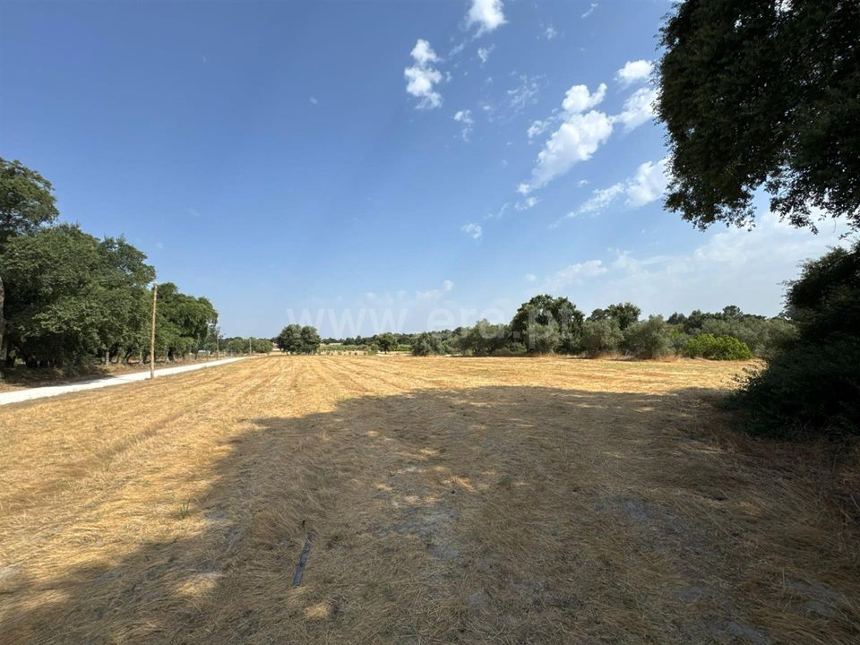 Helårsgrund i Palmela, Setubal - foto 1