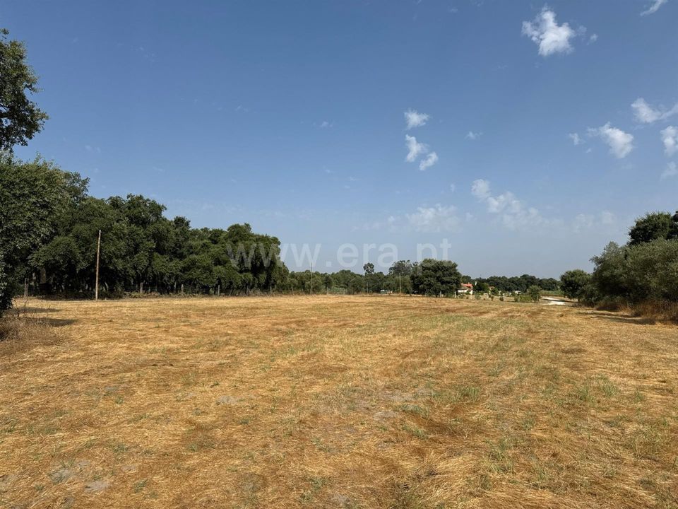 Helårsgrund i Palmela, Setubal - foto 3