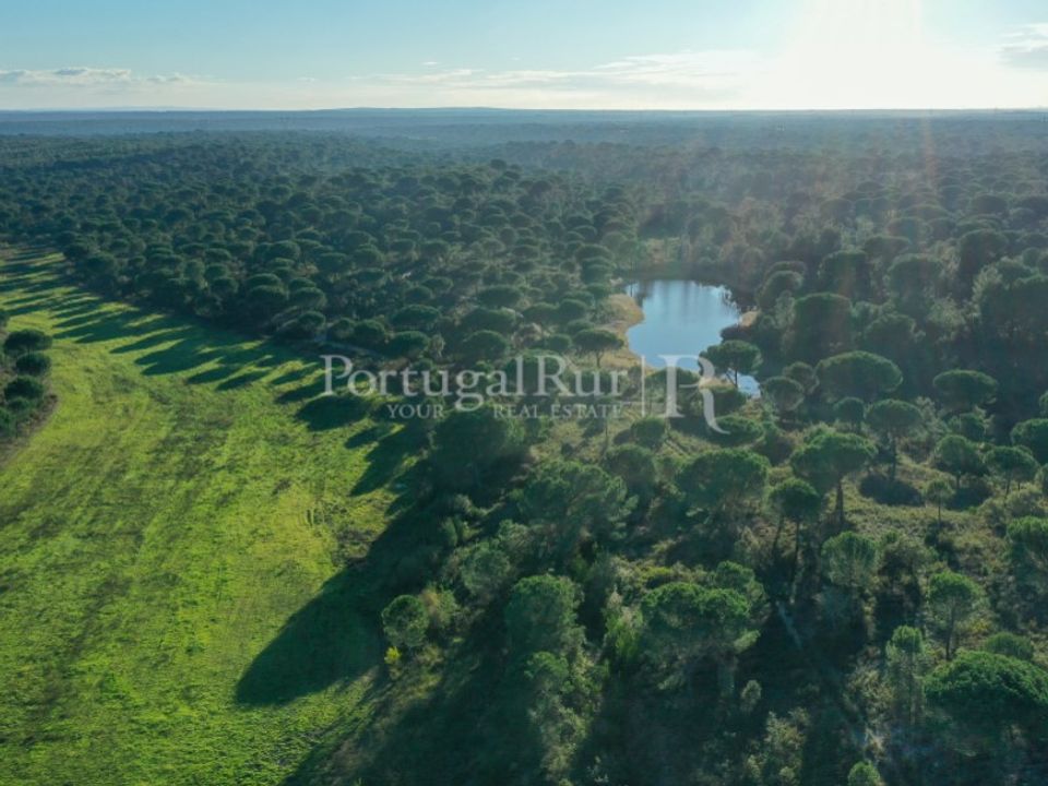 Landejendom i Vendas Novas, Evora - foto 1