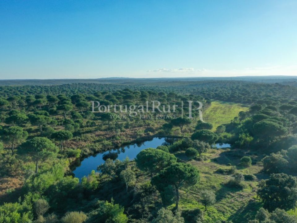 Landejendom i Vendas Novas, Evora - foto 2
