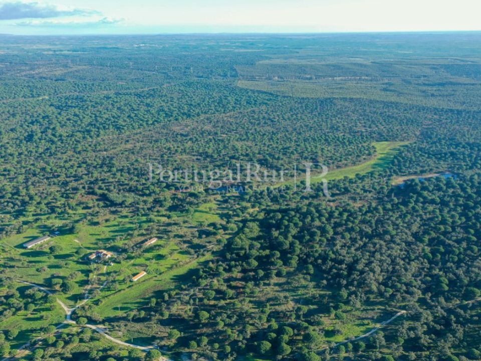 Landejendom i Vendas Novas, Evora - foto 4