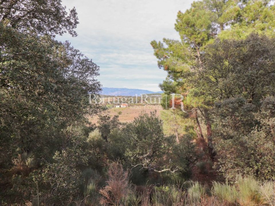 Gård i Fundao, Castelo Branco - bilde 3